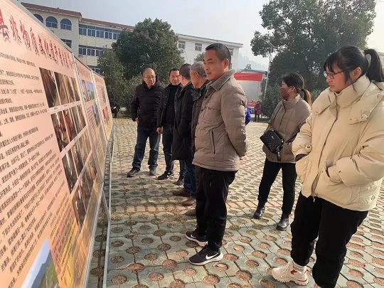 展览｜枞阳县非物质文化遗产保护项目图片展走进官埠桥镇