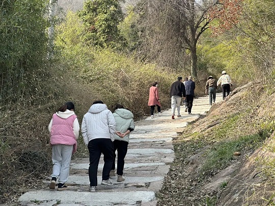 枞阳县文化馆开展“三八”妇女节踏青登山活动