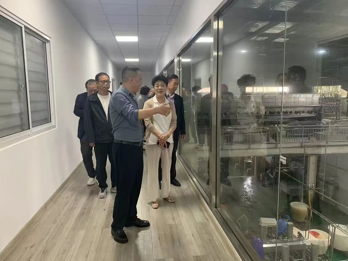 铜陵市人大常委会调研组来我县开展非遗保护传承调研