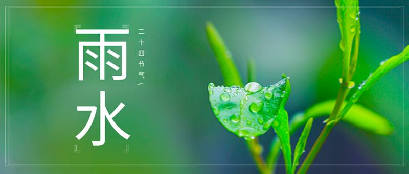 每日一学——雨水 好雨知时节，当春乃发生