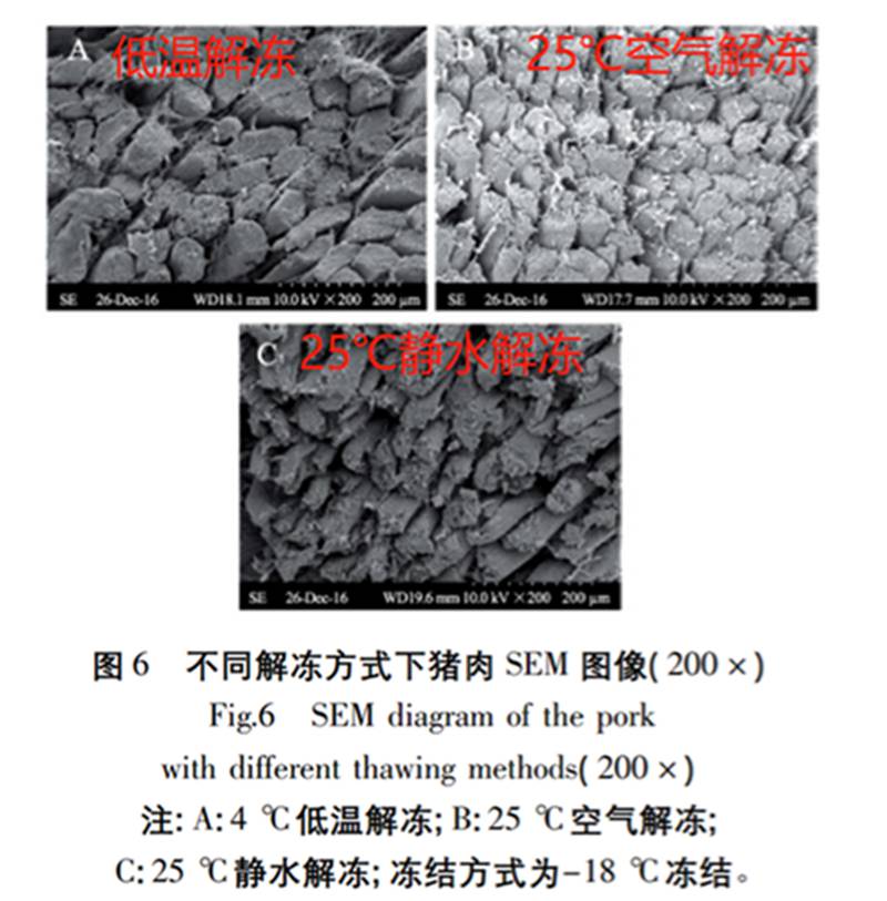 （每日一学                                                                                                                                 ）这几个无意识的习惯，可能在悄悄伤害你的健康！快自查