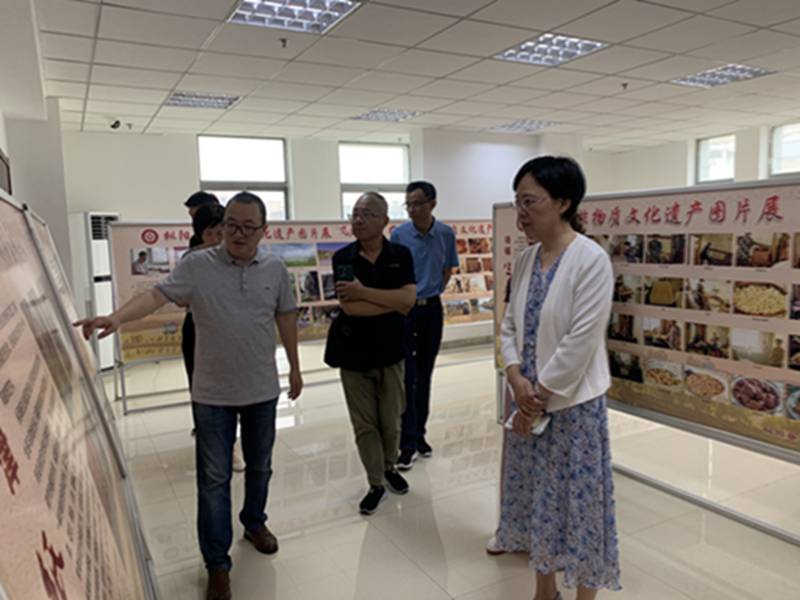 县人大常委会开展非遗“一法一条例”贯彻实施情况调研