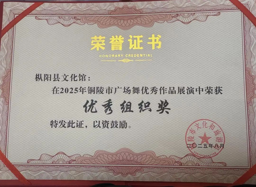 枞阳县文化馆带队参加2025年铜陵市广场舞(街舞)优秀作品展演活动