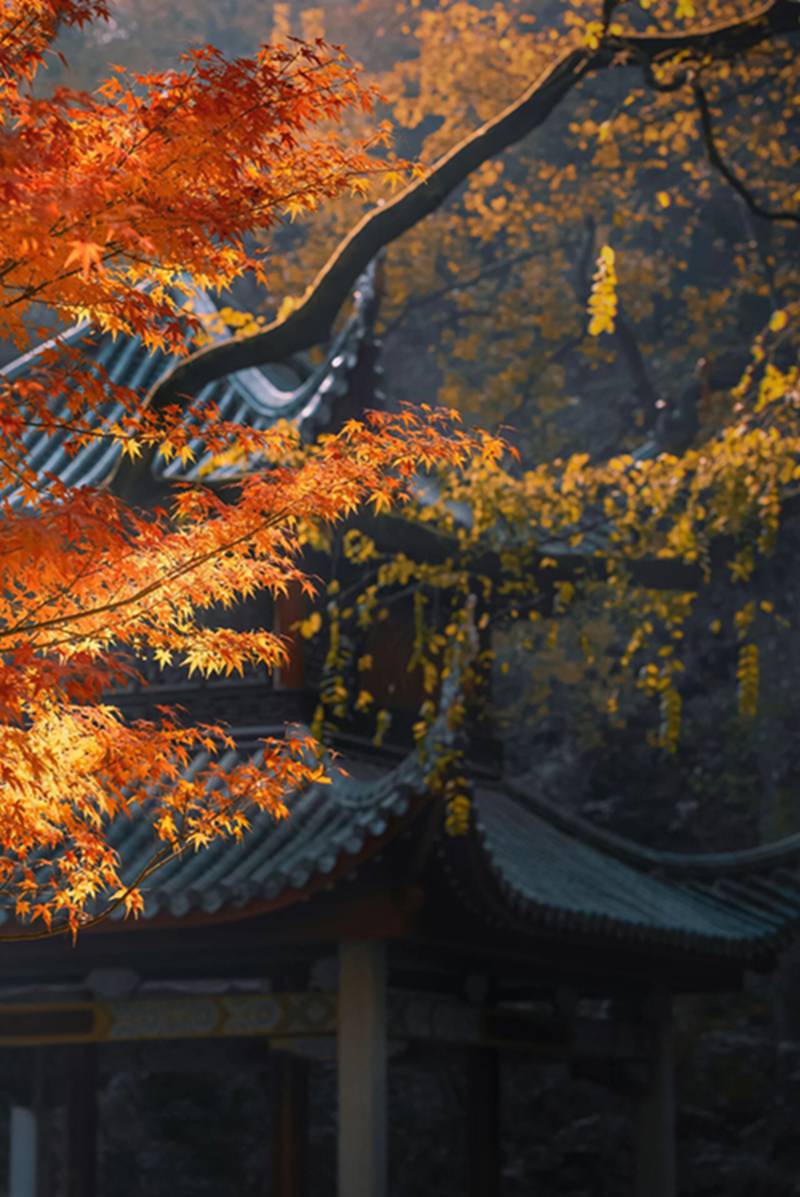 (每日一学 ）今日立冬