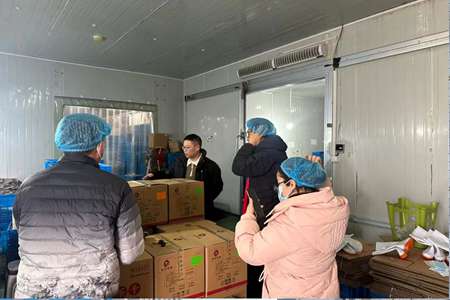 枞阳非遗一周记｜省台聚焦、清华探访、匠心学艺，文脉传承绽芳华