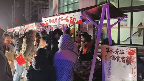 枞阳县文化馆、图书馆联合举办春节文旅市集