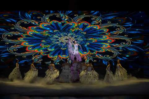 枞阳县2026年春节联欢晚会精彩上演