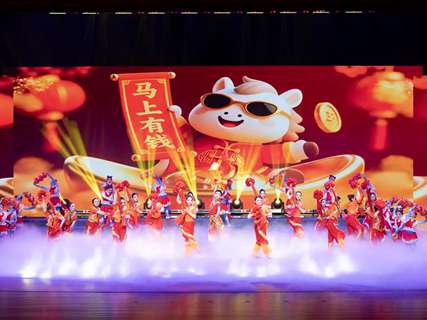 枞阳县2026年春节联欢晚会精彩上演