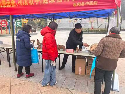 骏马迎新健康庙会开幕 枞阳根雕技艺亮相