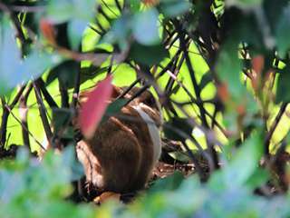 线上展｜山水枞阳的春天——定格春日美好·记录田园风光