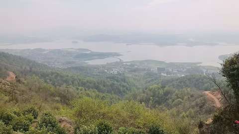 非遗在乡村：“龙王尖”茶制作技艺视频拍摄启动