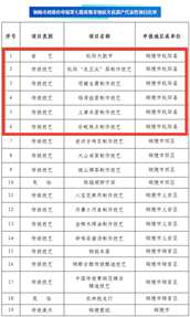 名单公示，枞阳6个项目入选！